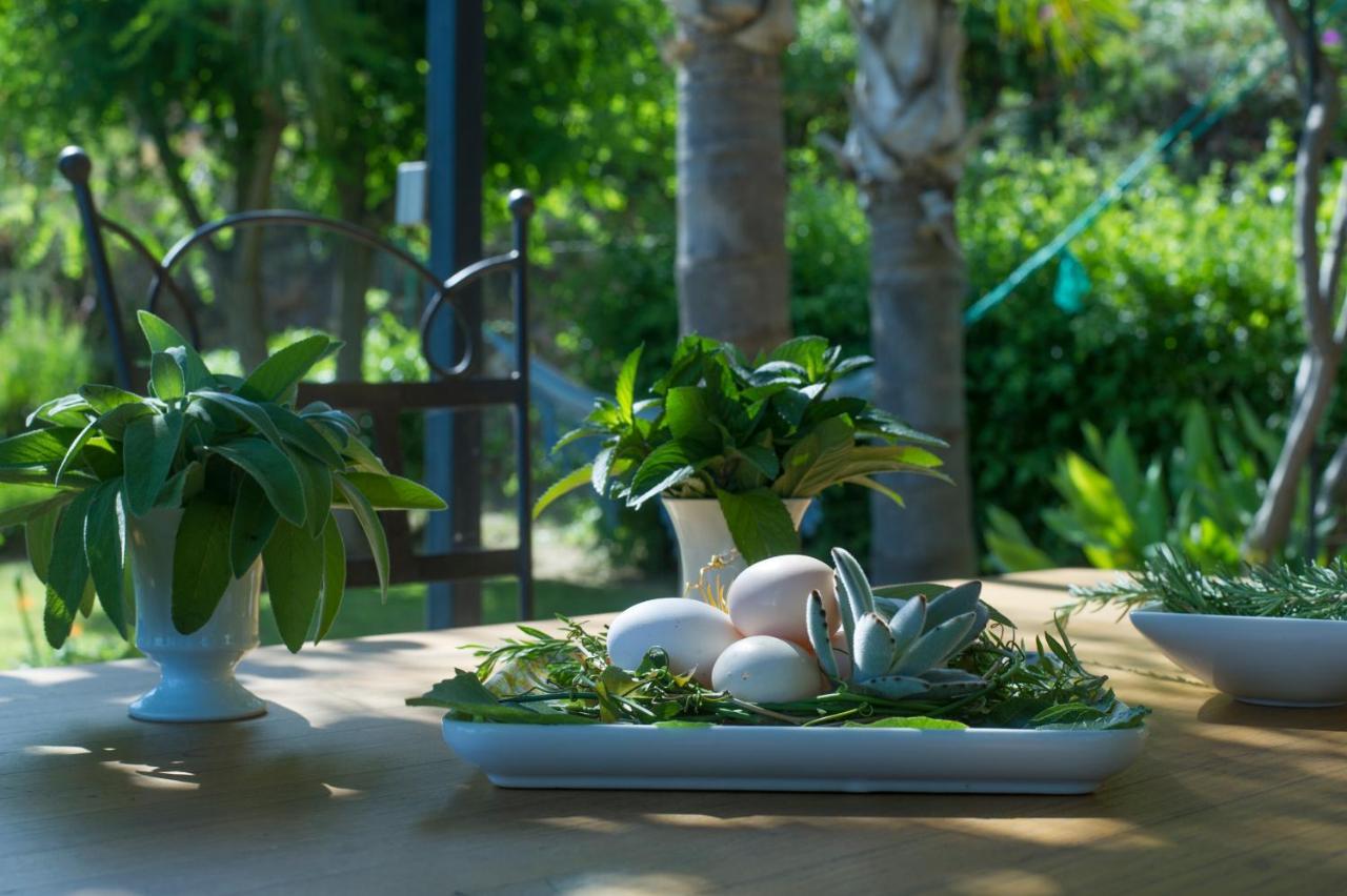 فيلا House With Garden And Sea View لا لوند-ليه-مور المظهر الخارجي الصورة