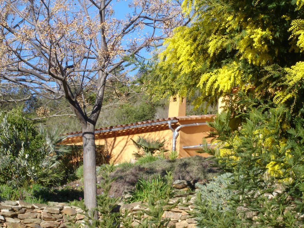 فيلا House With Garden And Sea View لا لوند-ليه-مور الغرفة الصورة